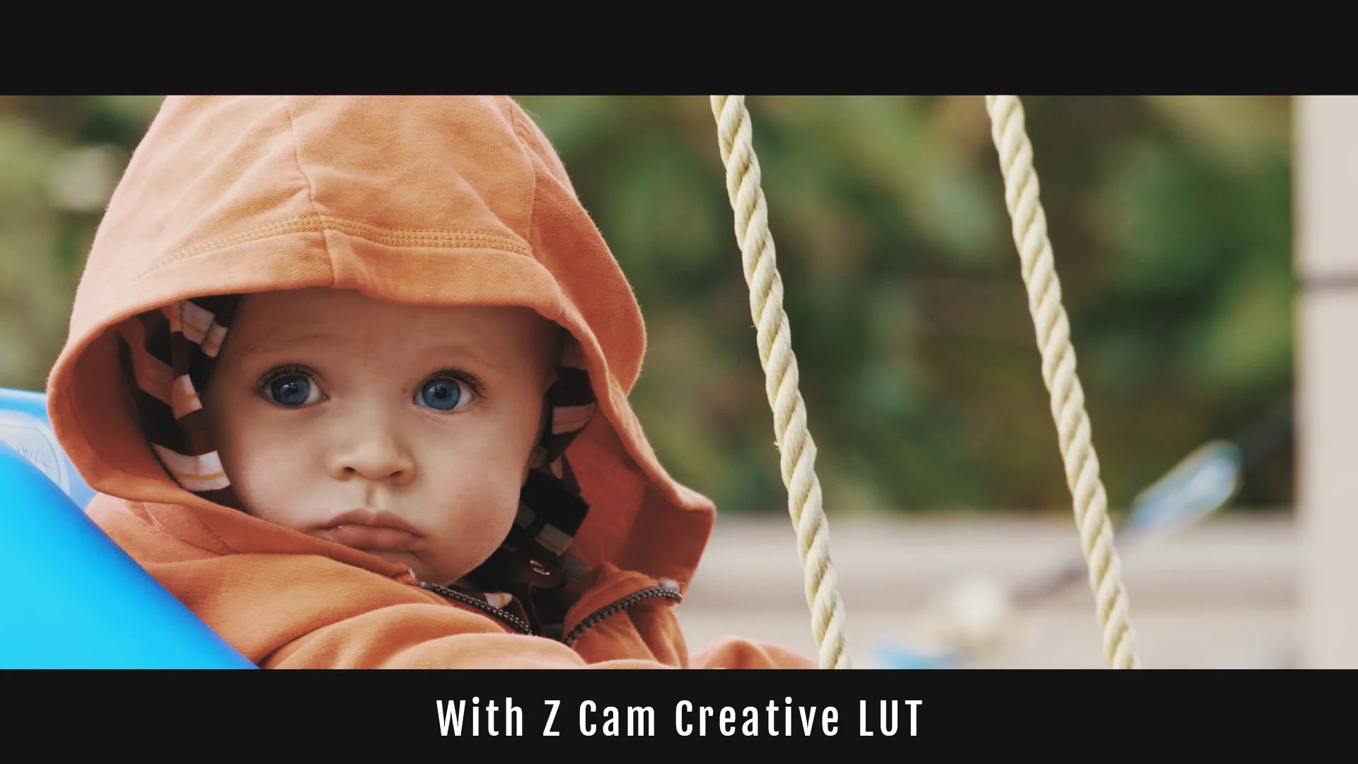 Z Cam Creative LUT - Image 3